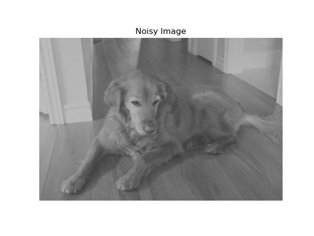 bella_grayscale_noisy.jpg