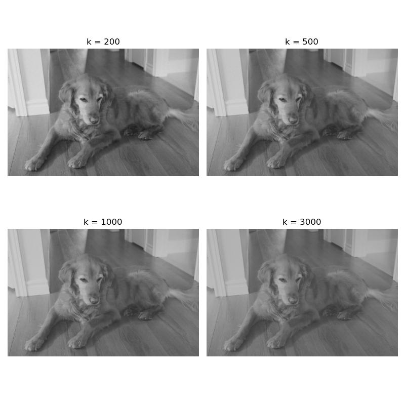 bella_grayscale_svd_200_500_1000_3000.jpeg